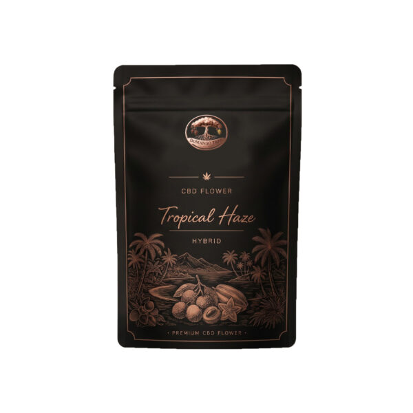 Flor Mango Haze CBD premium de Domango Tree