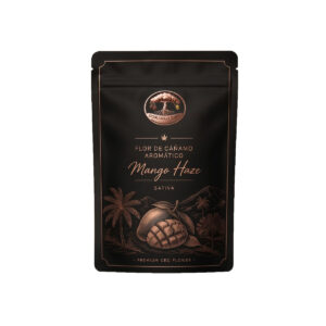 Mango Haze CBD – Cogollos premium resinosos con aroma tropical, afrutado y cítrico | Domango Tree